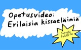 Opetusvideo: erilaisia kissaeläimiä